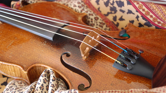 學習小提琴的好處