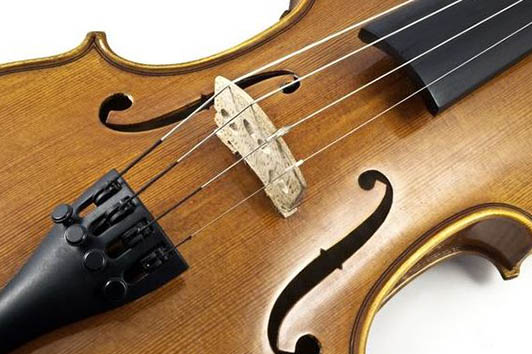 價值連城的小提琴是怎樣誕生的？