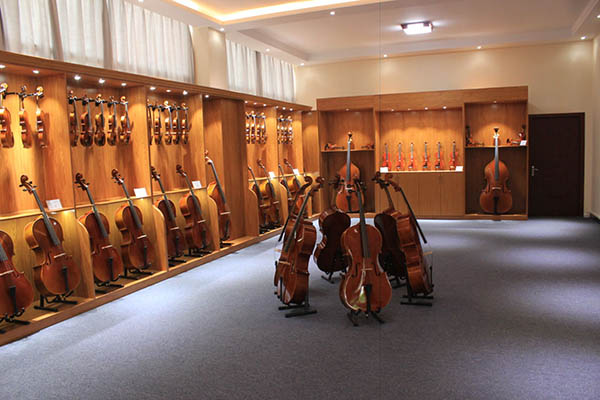 如何選購大提琴？