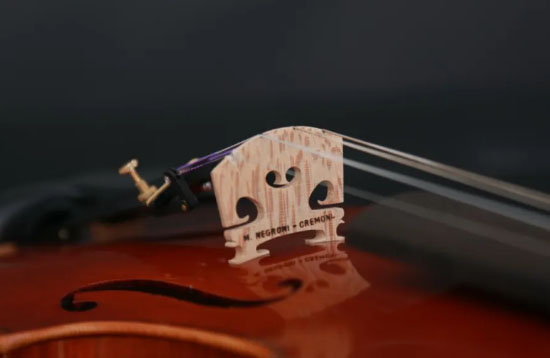 好好對待你的朋友：平日如何保養(yǎng)提琴？