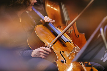 教你如何更換大提琴弦