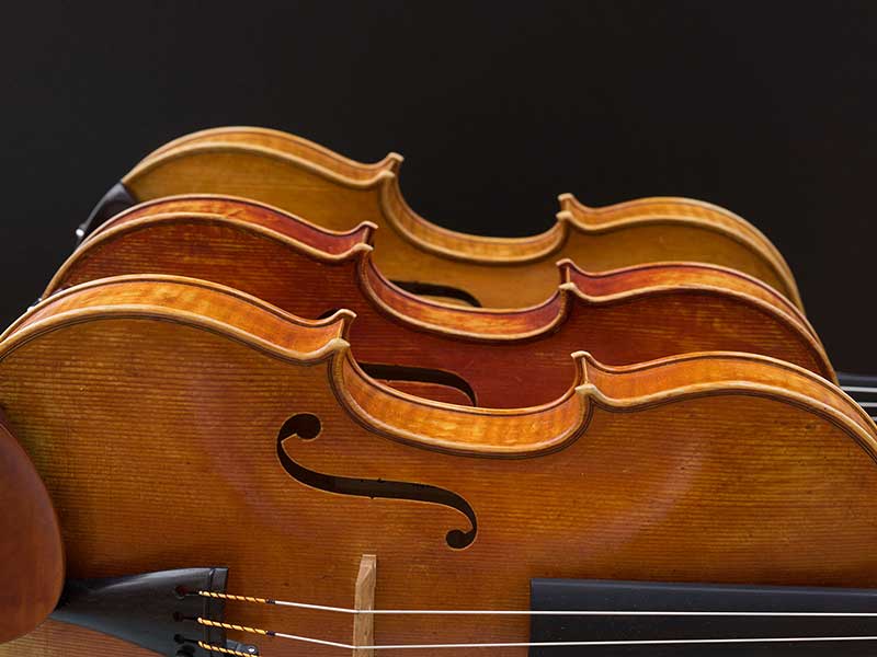 學(xué)中提琴有這么多優(yōu)勢(shì),為什么總是被黑